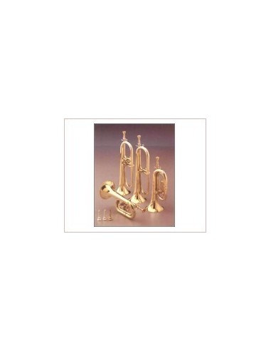 Honsuy Cornet (Long) C/D (Argent) avec 1 piston (Unité)