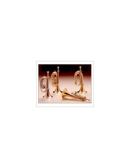 Honsuy (Short) C/Reb (Silver) Brilliant Butterfly Cornet (Unit)