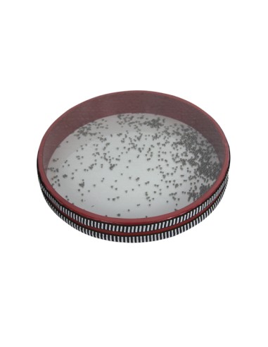Ocean Drum DB Diameter 25 cm. (db0741)