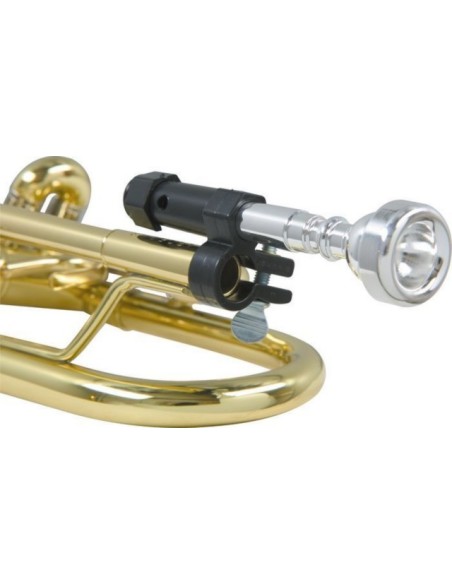 Berp Horn (Hupe) (cor)