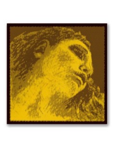4/4 Violine Saite 1. (E) (E) Pirastro Evah Pirazzi Gold (315521) (Stahl) Medium