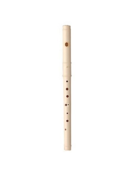 Aulos Recorder (C21) Plastic (Pífano Type) 2 Pieces