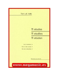 VAN DER VALK T.-11 Studi per flauto