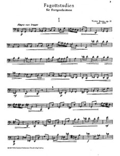 BRUNS V.-Advanced Studies Op.32 for Bassoon 2