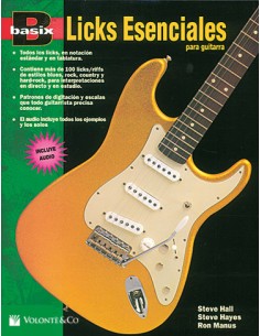 BASIX-Essential Gitarren-Licks (Inc.CD)