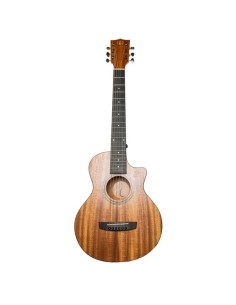 Bones 3/4 BAC-250 Guitare Acoustique Acajou Naturel