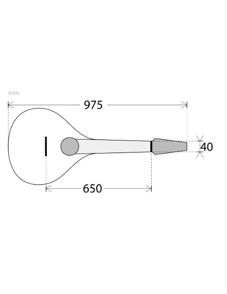 Bouzouki portugais APC PTB-308