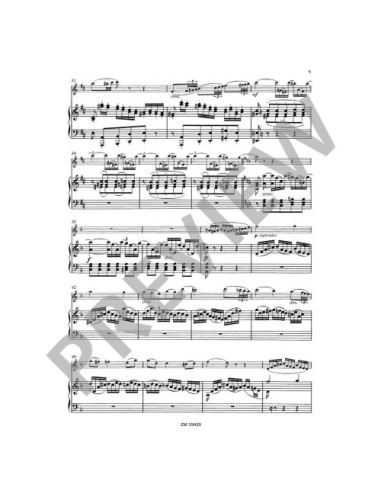 SAINT SAENS C.-Odelette Op.162 per flauto e pianoforte (Richter)
