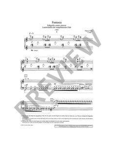 VASKS P.-Fantasia per Pianoforte 2