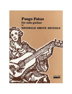 SMITH BRINDLE R.-Wisp für Gitarre