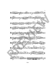 PIVONKA K.-Development Studies for Bassoon 2