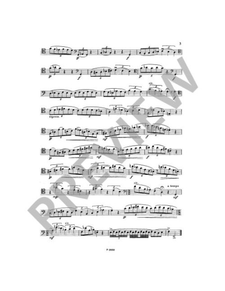 PIVONKA K.-Development Studies for Bassoon