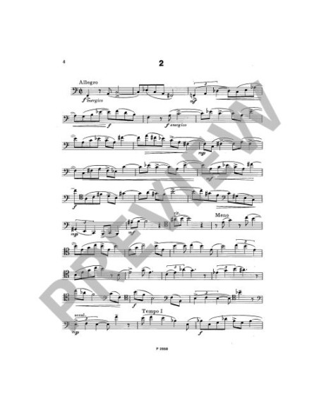 PIVONKA K.-Development Studies for Bassoon