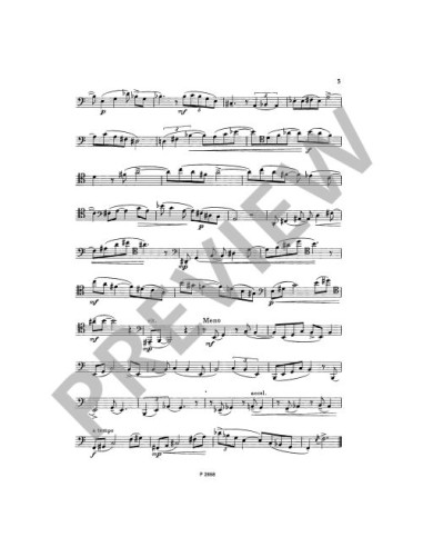 PIVONKA K.-Development Studies for Bassoon