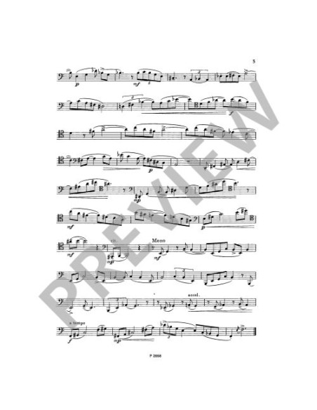 PIVONKA K.-Development Studies for Bassoon