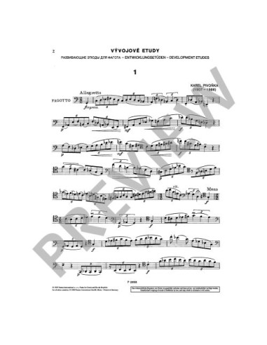 PIVONKA K.-Development Studies for Bassoon