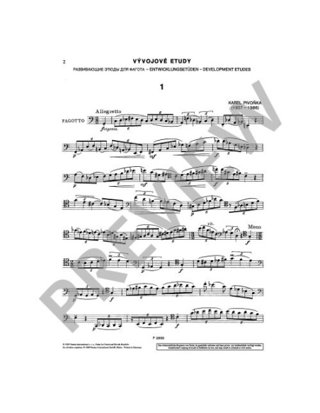 PIVONKA K.-Development Studies for Bassoon