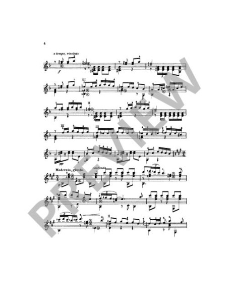 LOPEZ CHAVARRI E.-Gitarrenteile (7)