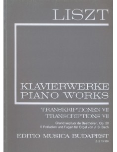 LISZT F.-Transkriptionen Vol.7 für Klavier (Mezo/Vikarius)