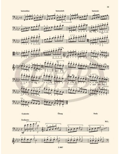 MONTAG L.-Method 5º für Kontrabass