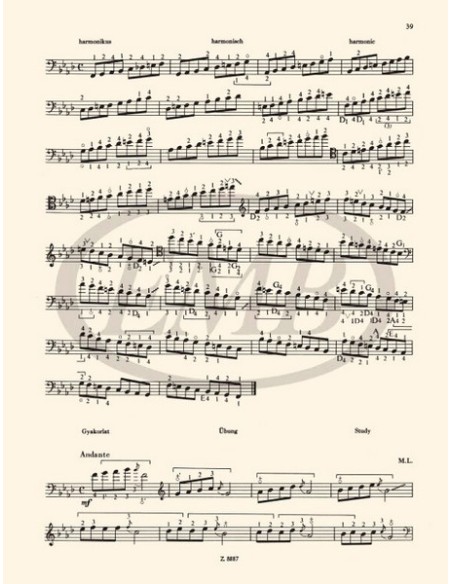 MONTAG L.-Method 5º für Kontrabass