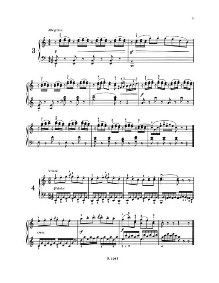 CZERNY C.-Op. 821 Piano Exercises