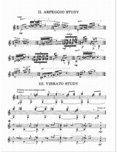 VISSER D.-Involutionen (3) für Gitarre 2