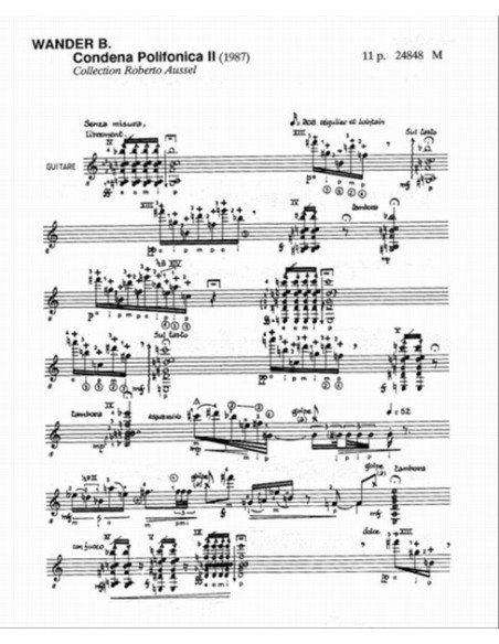 WANDER B.-Polyphonic Guitar Condemnation