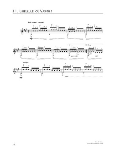 IWAGAMI T.-C'est ainsi per Chitarra