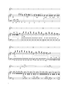 SCHWARZ O.M.-Capo Horn per 2 corna 2