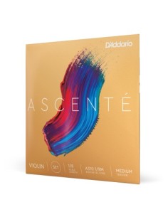 D'Addario Ascenté 1/8 Violinsaiten (A310 1/8M) Medium Tension (Satz)