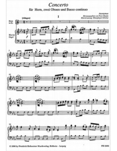 ANONIMO-Concerto per corno e pianoforte (Damm) 2
