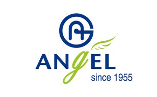 Angel Musical Instruments